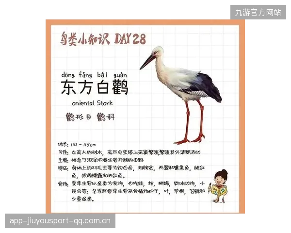 蔡慧珍的“抓鸟”秘密：从童年梦想到现实世界的“鸟类保护大使”